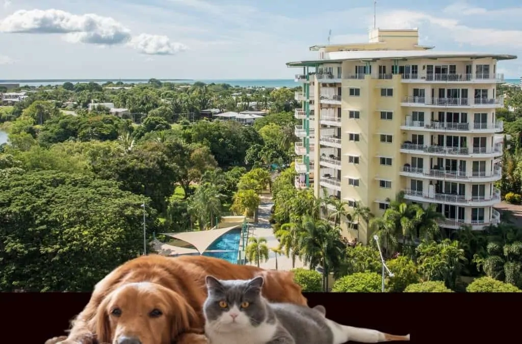 ‘For me it’s not an issue right now’: Gunner on pet laws for renters