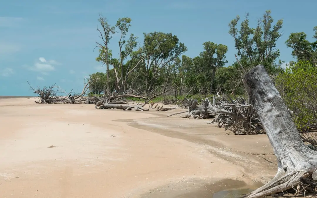 Can I visit my boyfriend or my parents? Go fishing or bushwalking? COVID-19 rules in the NT