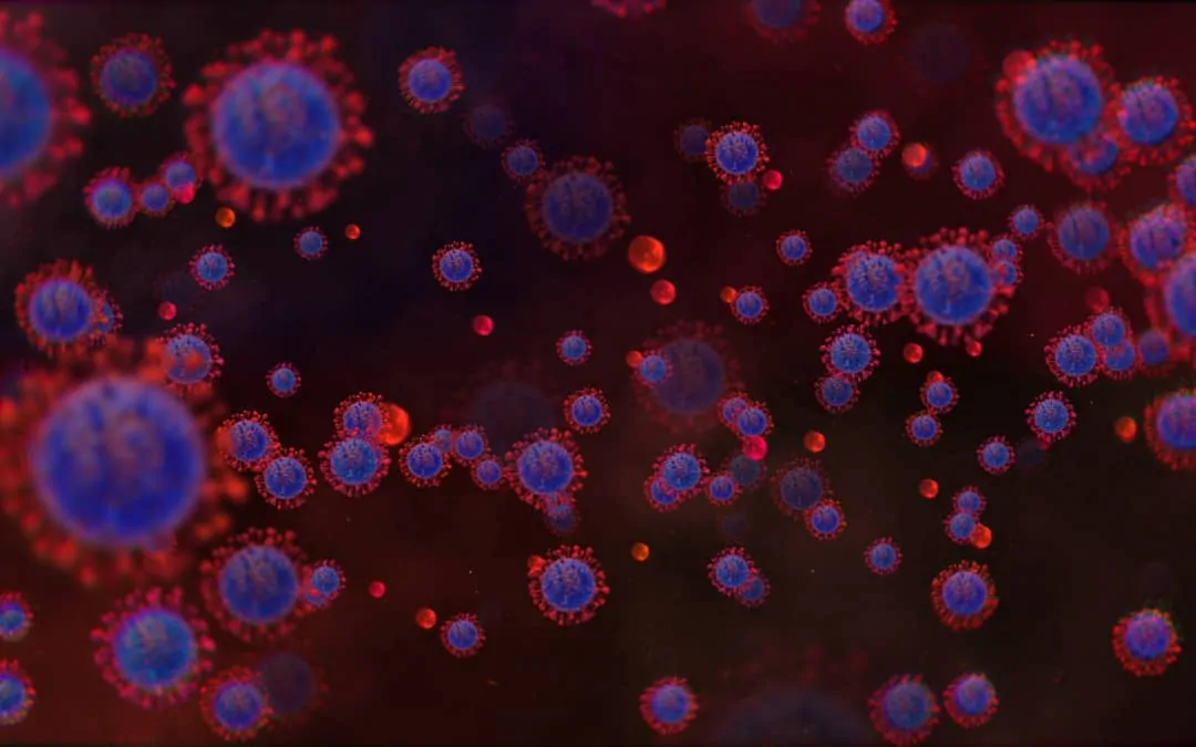 Man from mystery location fined $5,000 for skipping quarantine