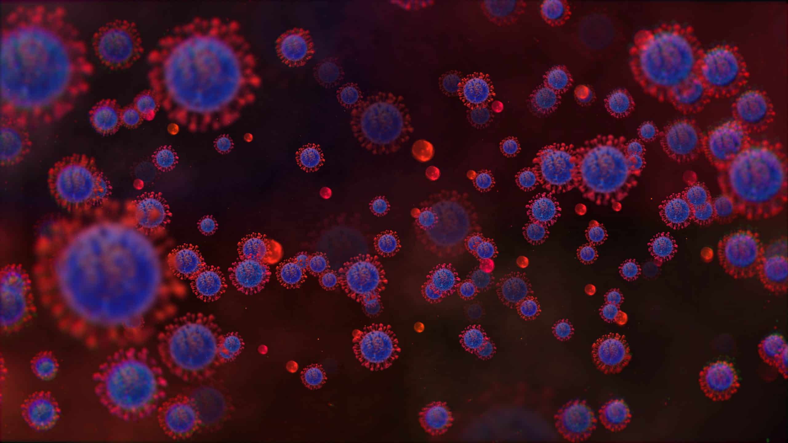 Coronavirus