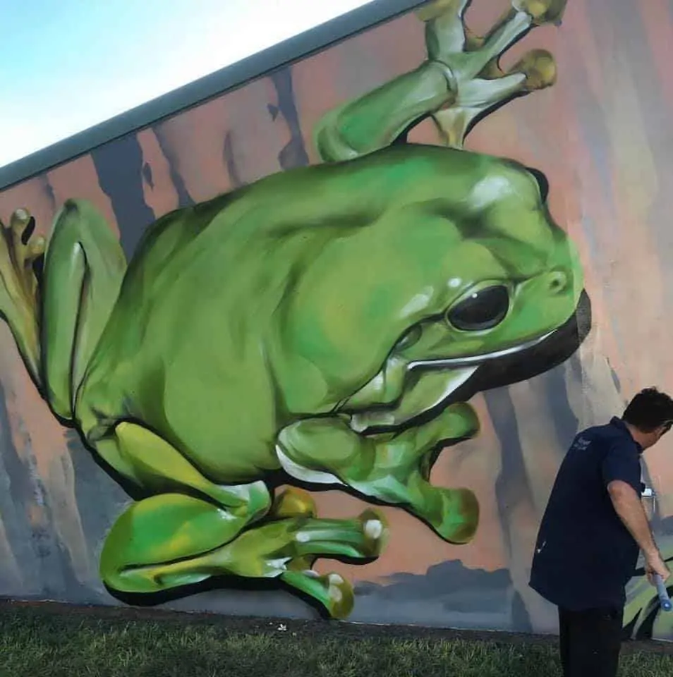 Darwin frog mural Darwin frog mural
