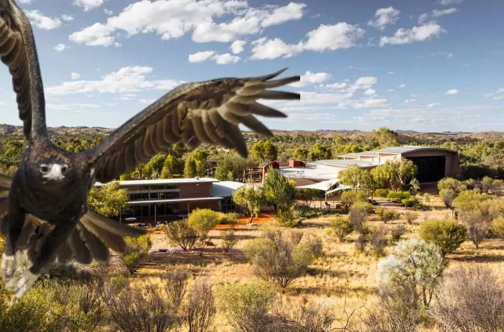 CLP would build Aboriginal art gallery at desert park if elected