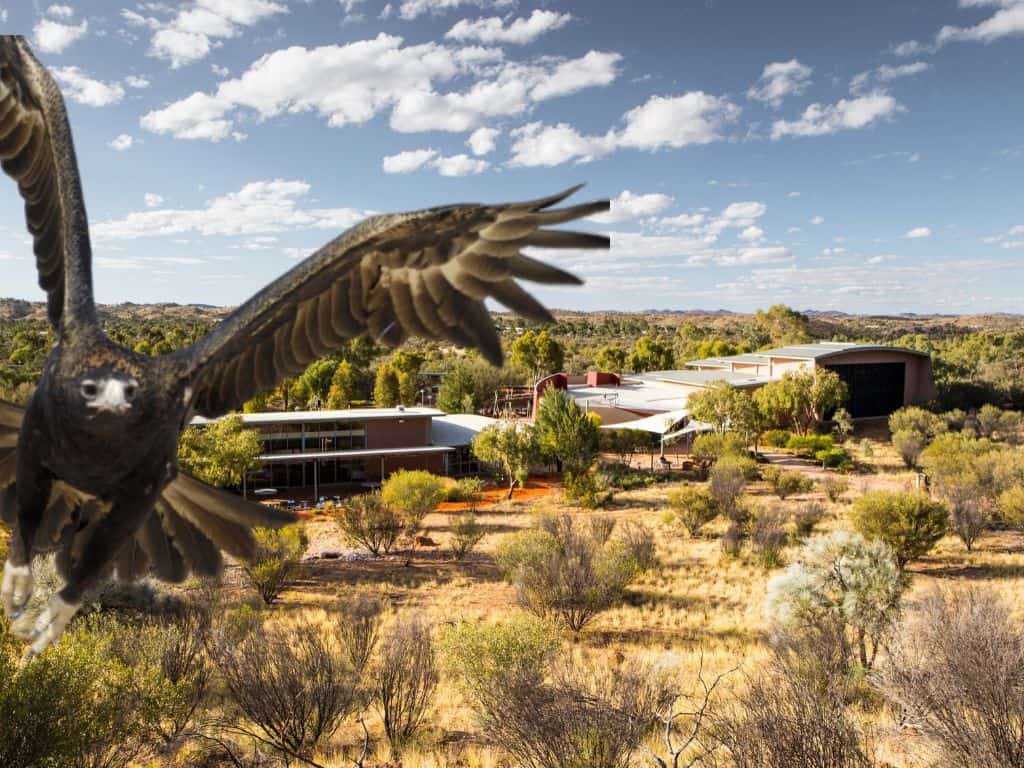 Alice Springs Wildlife Park