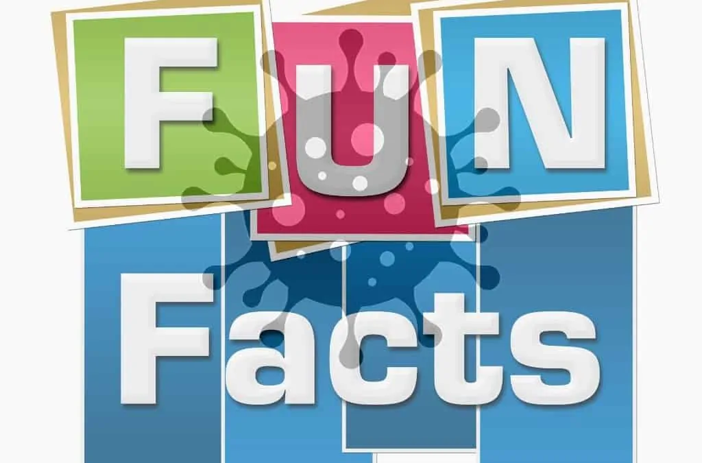 Fun Facts: Random NT COVID-19 information revealed in Parliamentary hearings