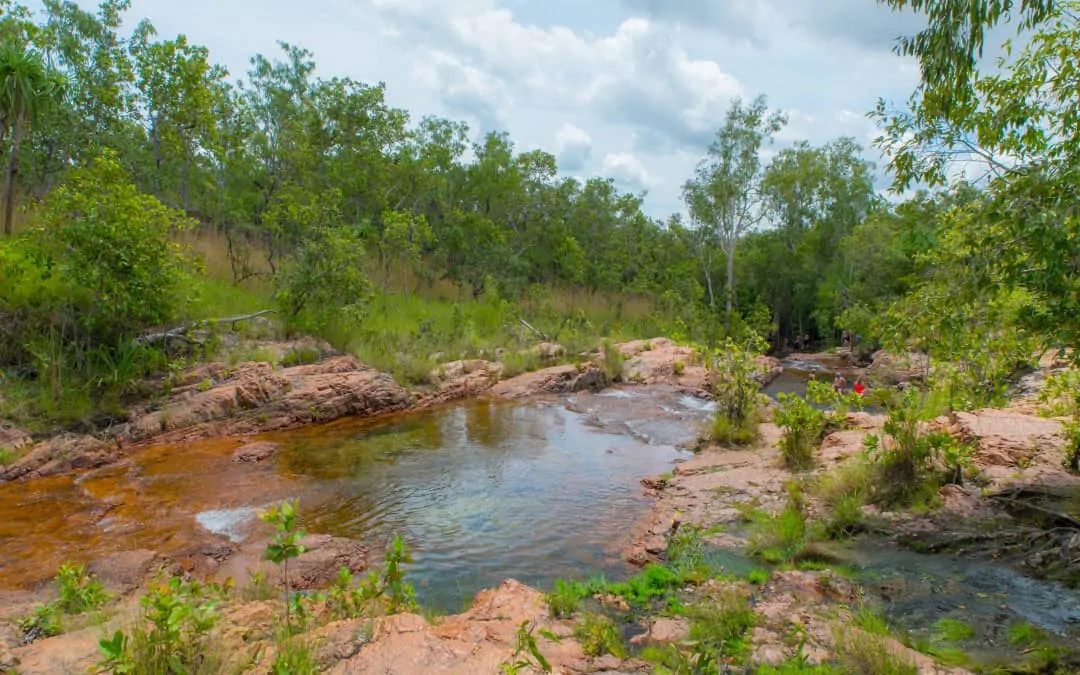 NT Government tenders awarded – May 7