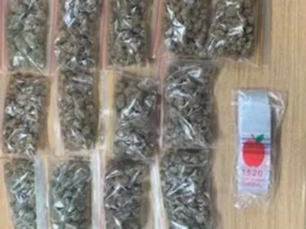 Drug offences _Alawa_