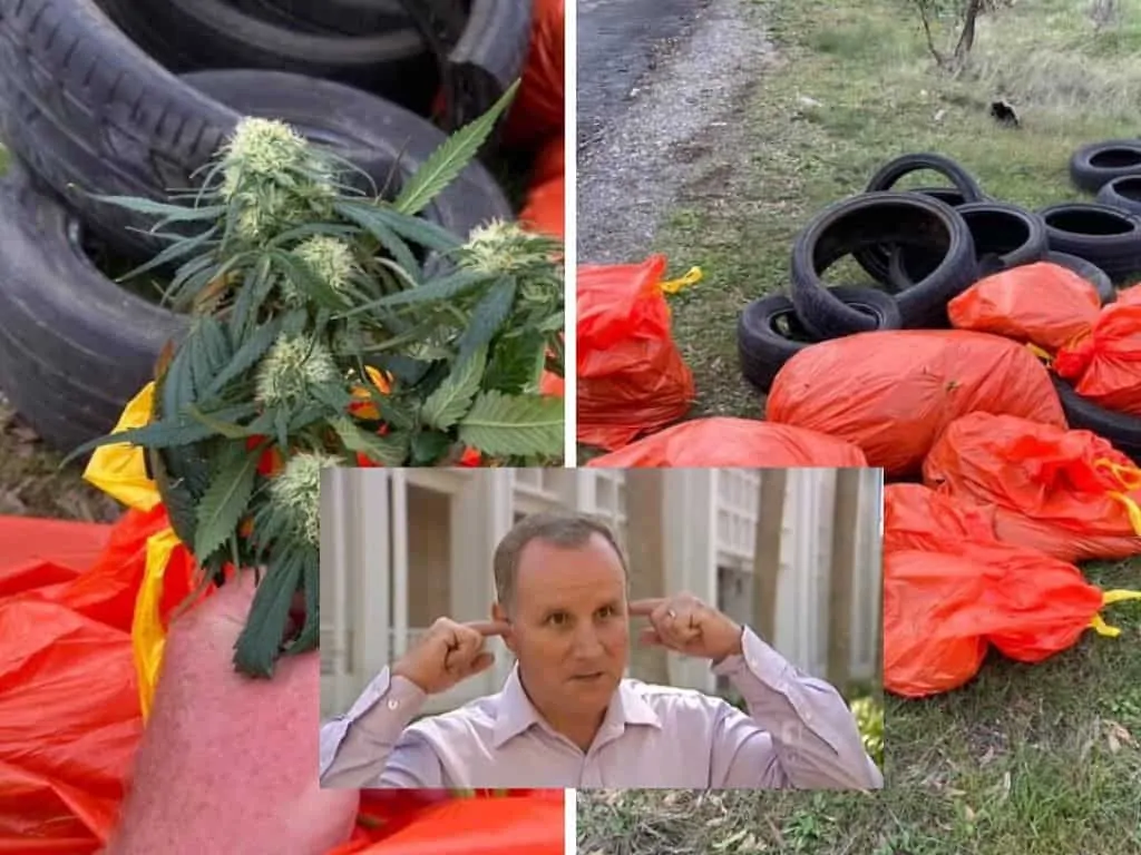 John Ellferink marijuana