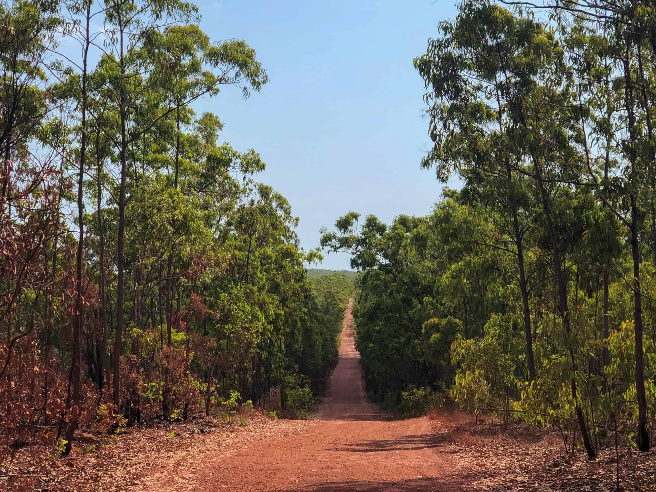 The road to Binydjarrŋa Daliwuy Bay cropped The road to Binydjarrŋa also known as Daliwuy Bay