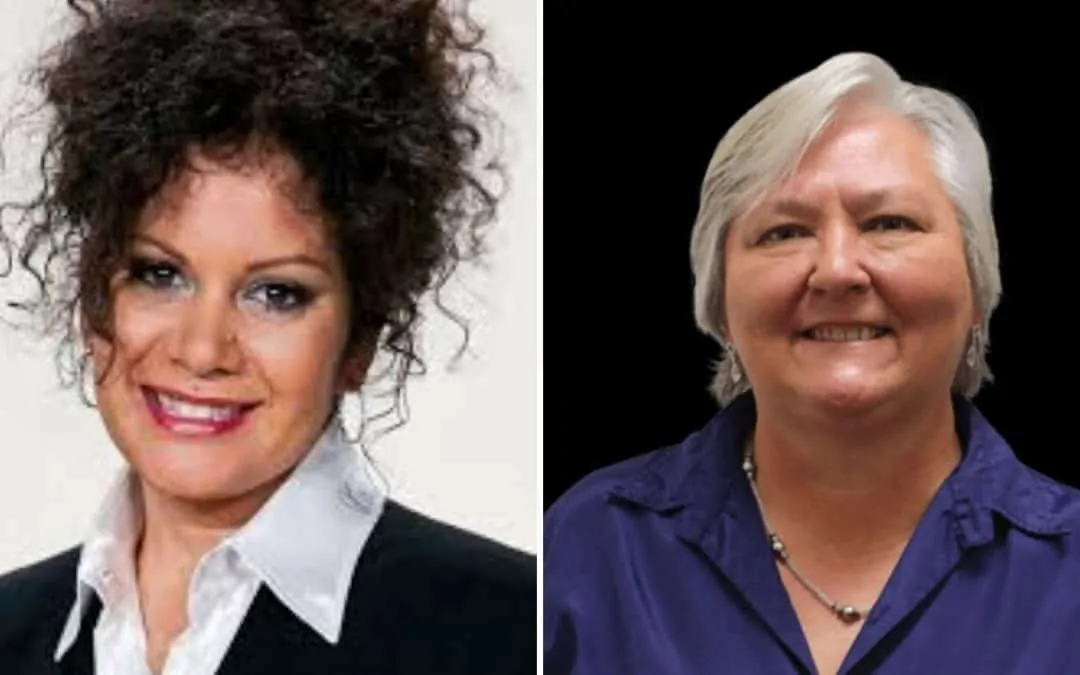 Bipartisan approach to restoring NT’s second lower house seat in the works, seeking public’s voice