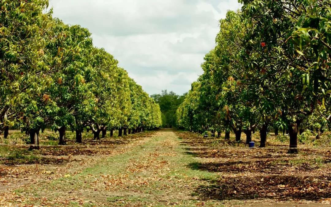 NT Government tenders awarded – August 25
