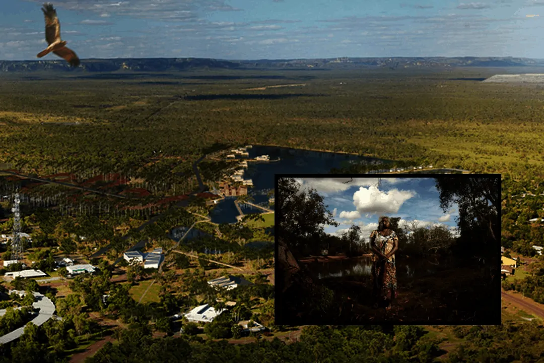 Jabiru