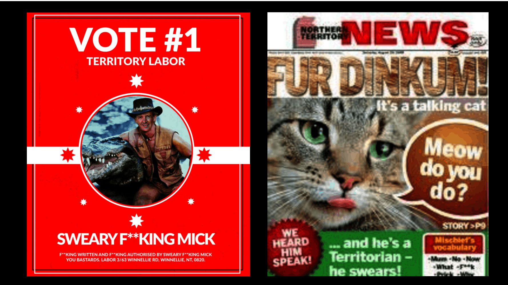 Sweary Mick versus Mischief the cat