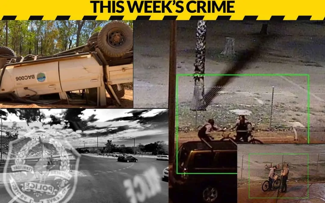 Cops, crime, and court this week