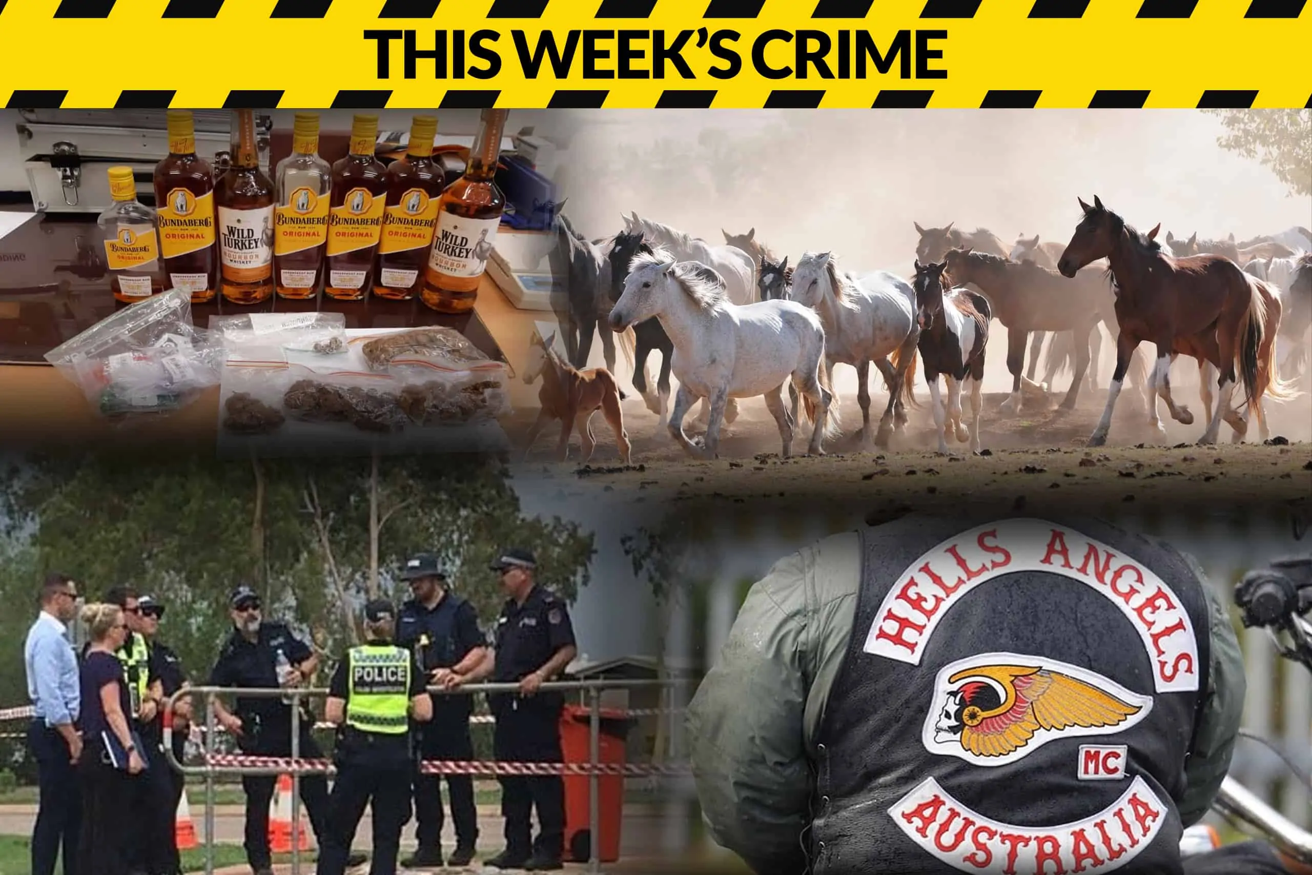 CRIMEWRAP1016