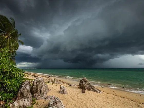 Wild weather 43