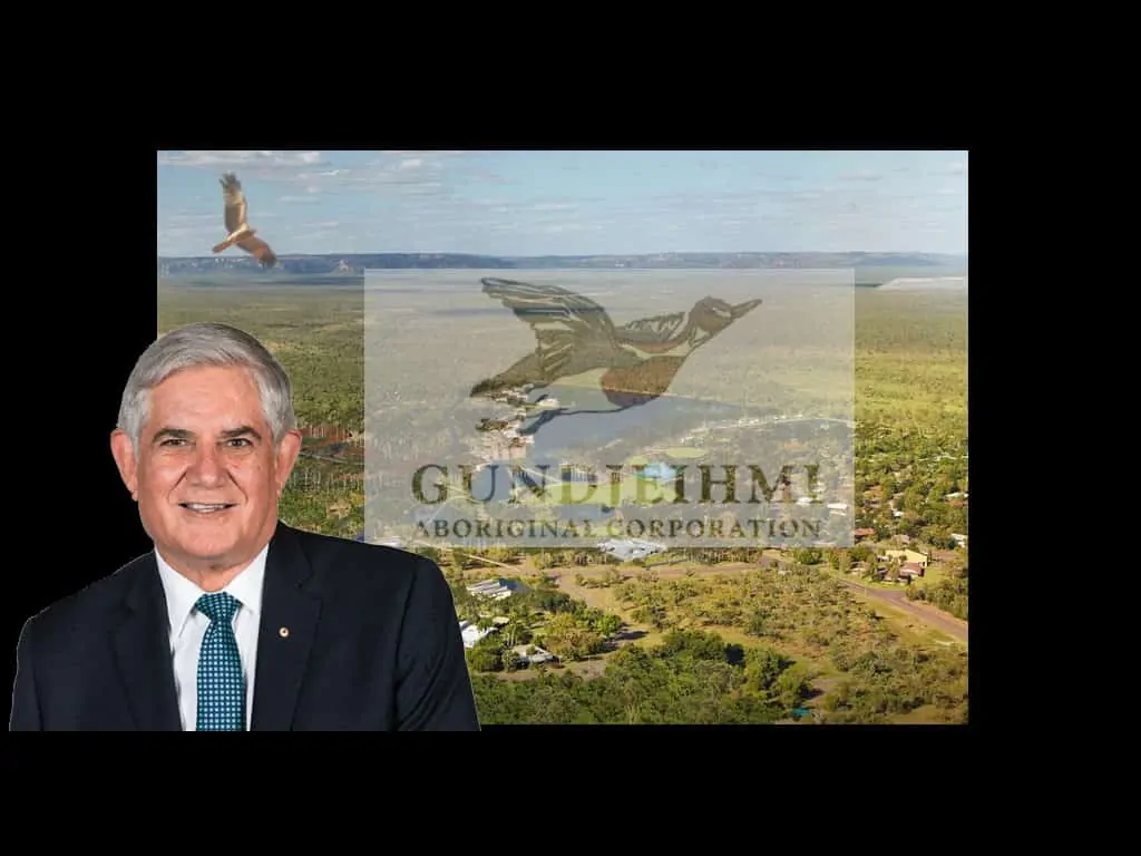 Ken Wyatt Gundjeihmi Jabiru graphic Ken Wyatt Gundjeihmi Jabiru graphic