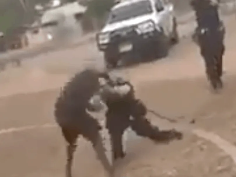 14-year-old attacks police Cropped