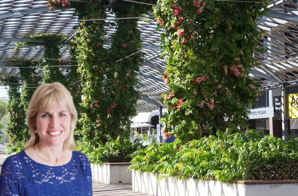 ‘You’ve probably got to wait eighteen years’: Plant expert on Cavenagh St shade structure