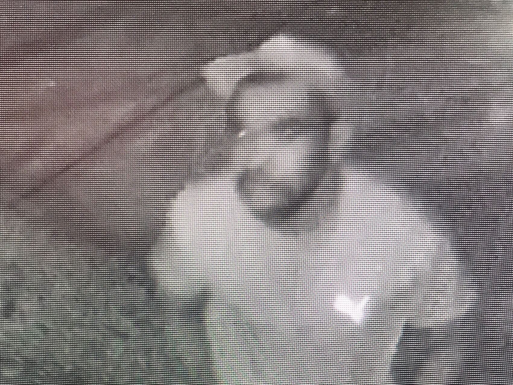 Lethal drugs suspect