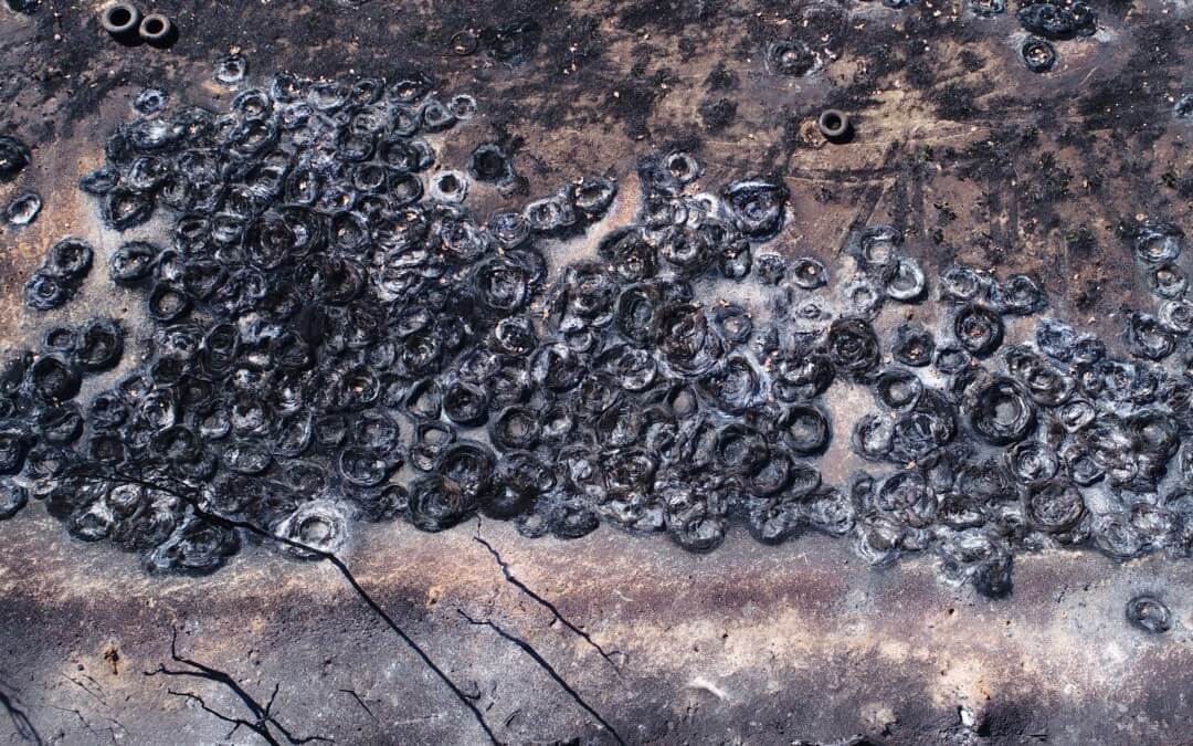 Darwin businessman pleads guilty to illegally dumping tyres, causing environmental harm