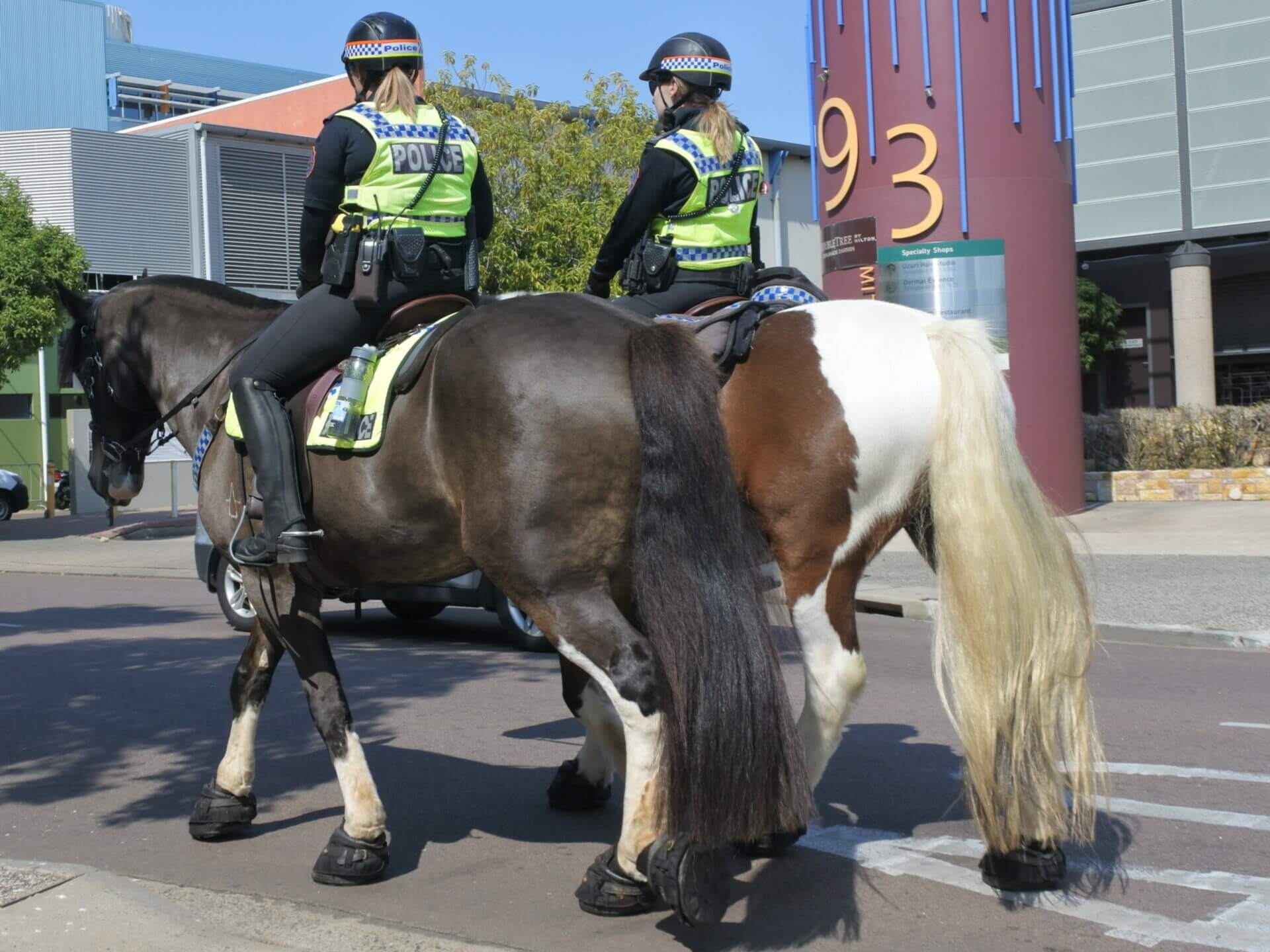 NT Police mounted horse Cropped