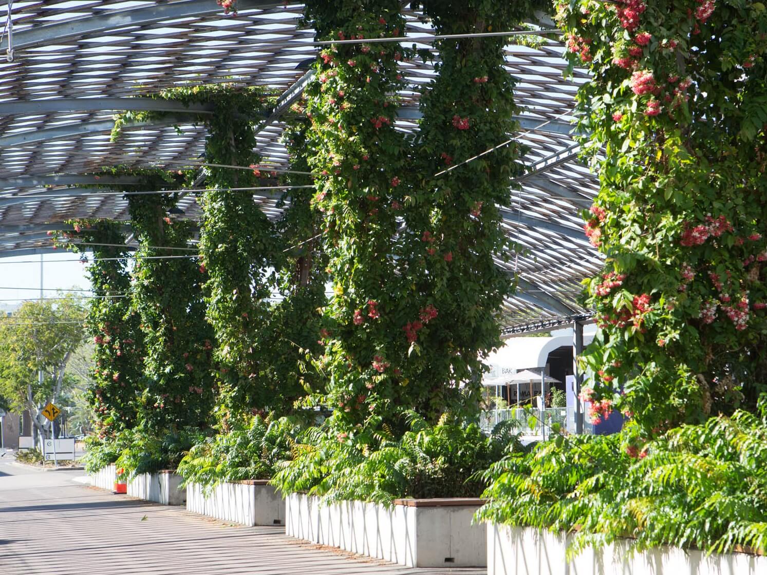 Shade structure Cropped