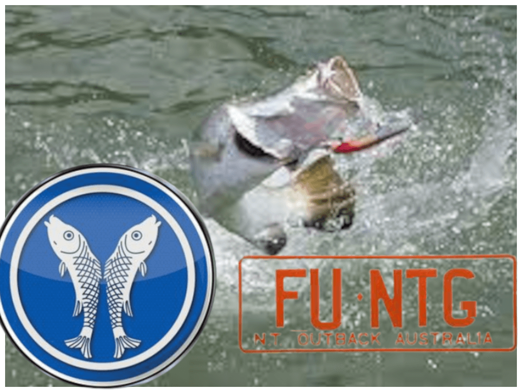 FUNTG ii