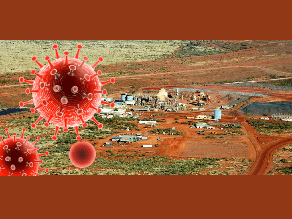 Tanami COVID II