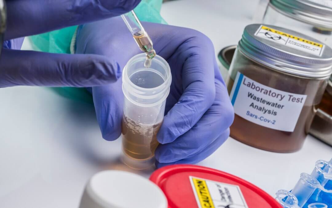COVID wastewater testing now being done in the NT by CDU microbiologists