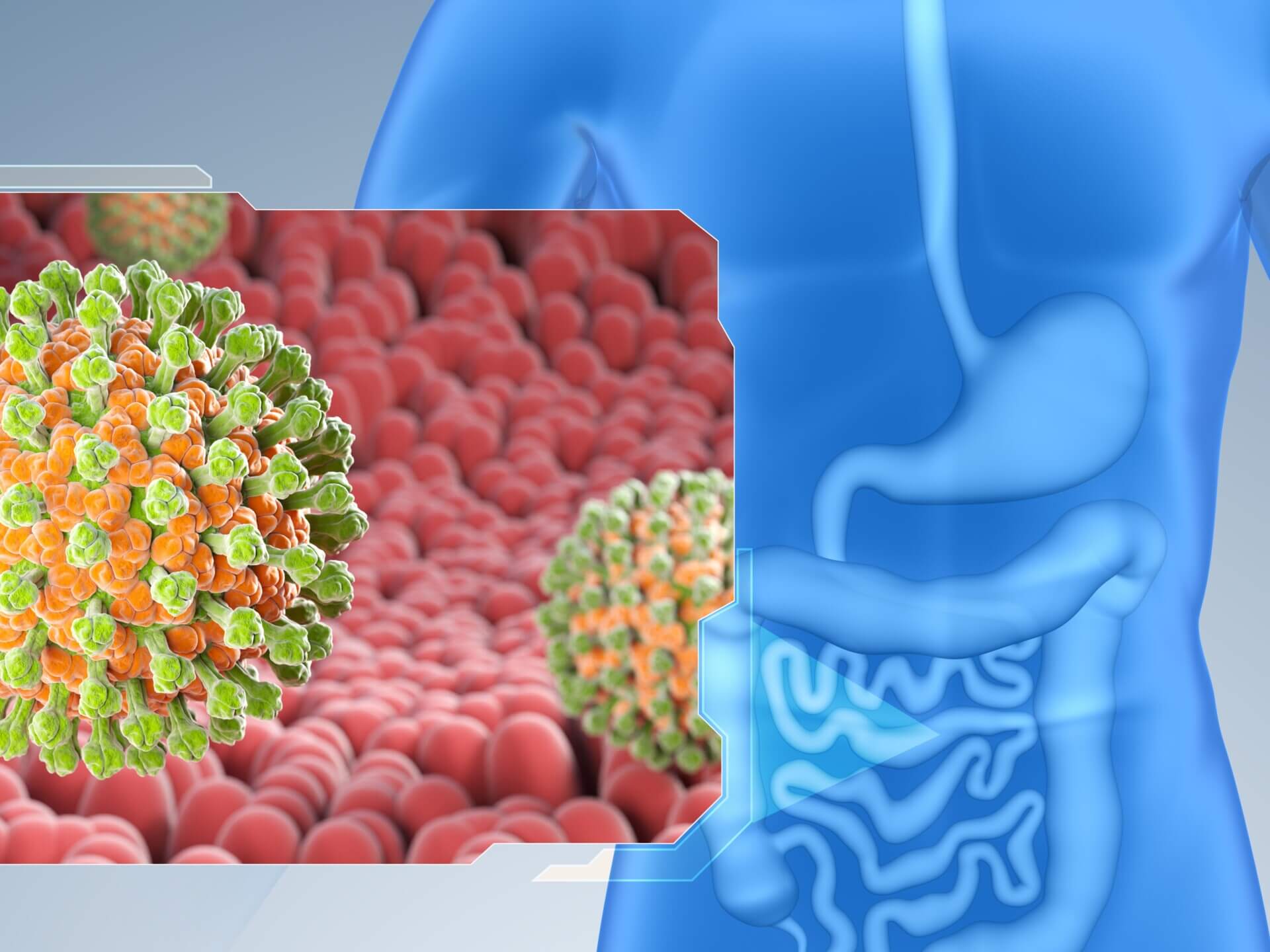 Rotavirus gastro Cropped