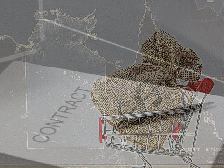 Who has won the most NT Government contracts since COVID-19 began?