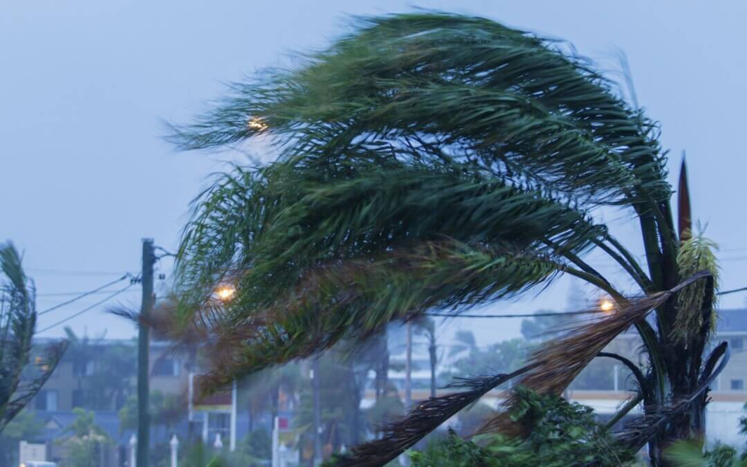 500 remote evacuees to shelter in Nightcliff ahead of Tropical Cyclone Narelle