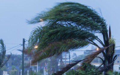 500 remote evacuees to shelter in Nightcliff ahead of Tropical Cyclone Narelle