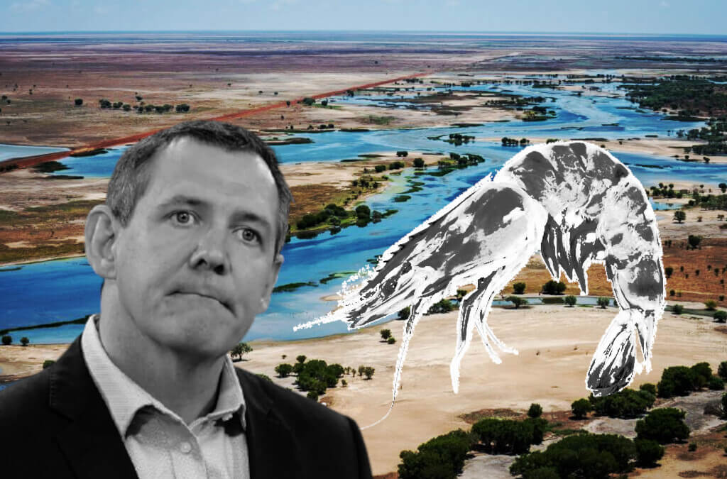 NT Project Sea Dragon prawn farm venture put off three years due to ‘unacceptable risk’