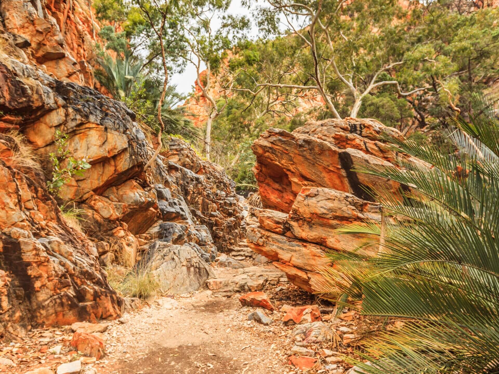 Larapinta Trail Cropped
