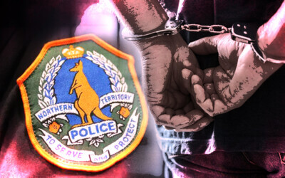 Homemade gun, silencer and body armour seized in police raid