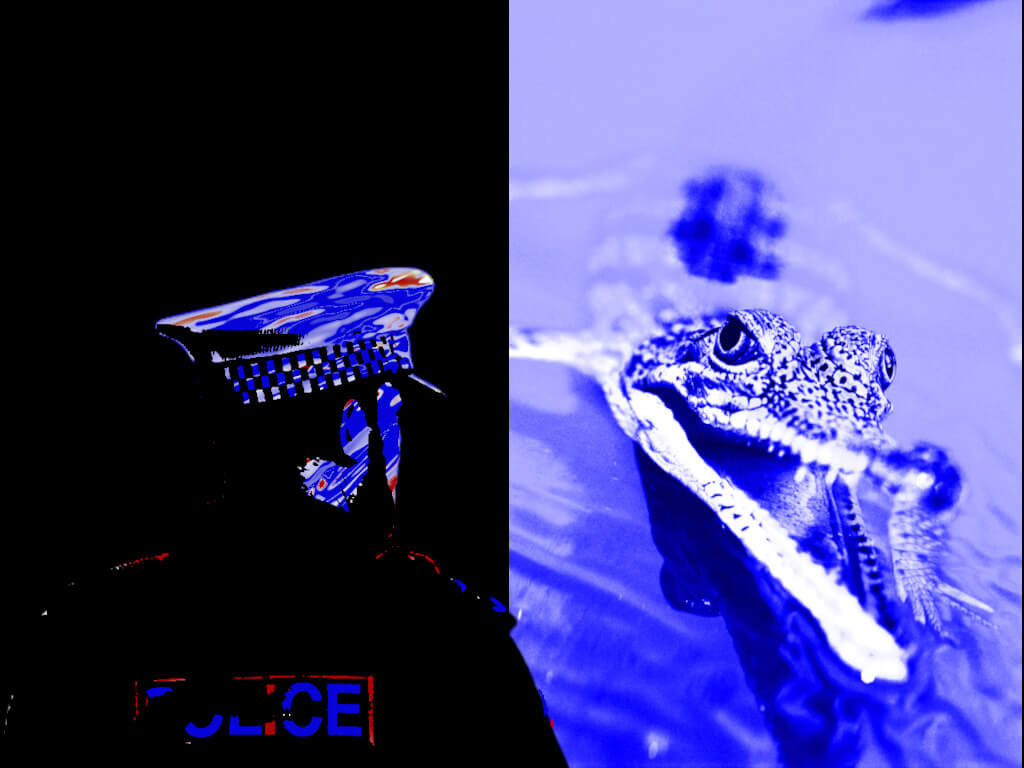Police crocodile