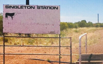 Singleton Station water licence not lawfully granted: High Court