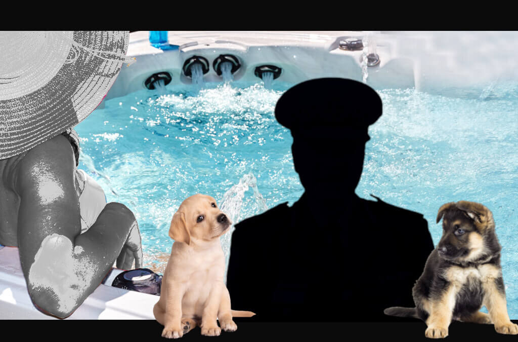 ‘I have a spa and puppies’: Senior police officer investigated over alleged invitation to female graduate