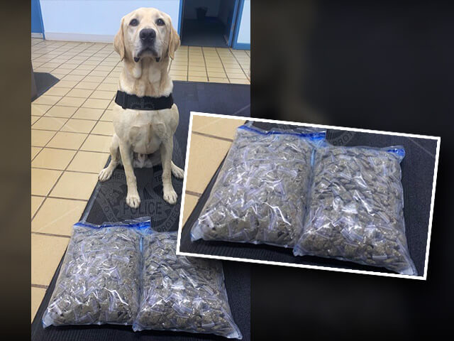 drug offences-east arnhem region-4.3