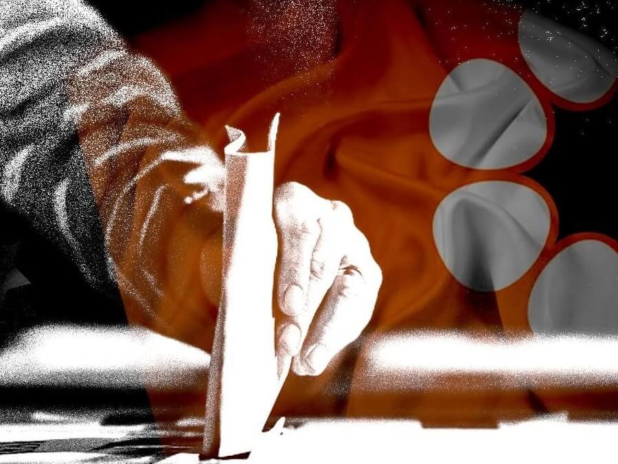 Record 20,000 early votes cast in first three days of pre-polling for 2024 election