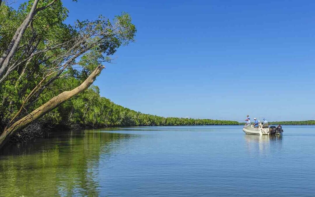 NT Government water allocation ignored warnings of ‘catastrophic’ impact: Report