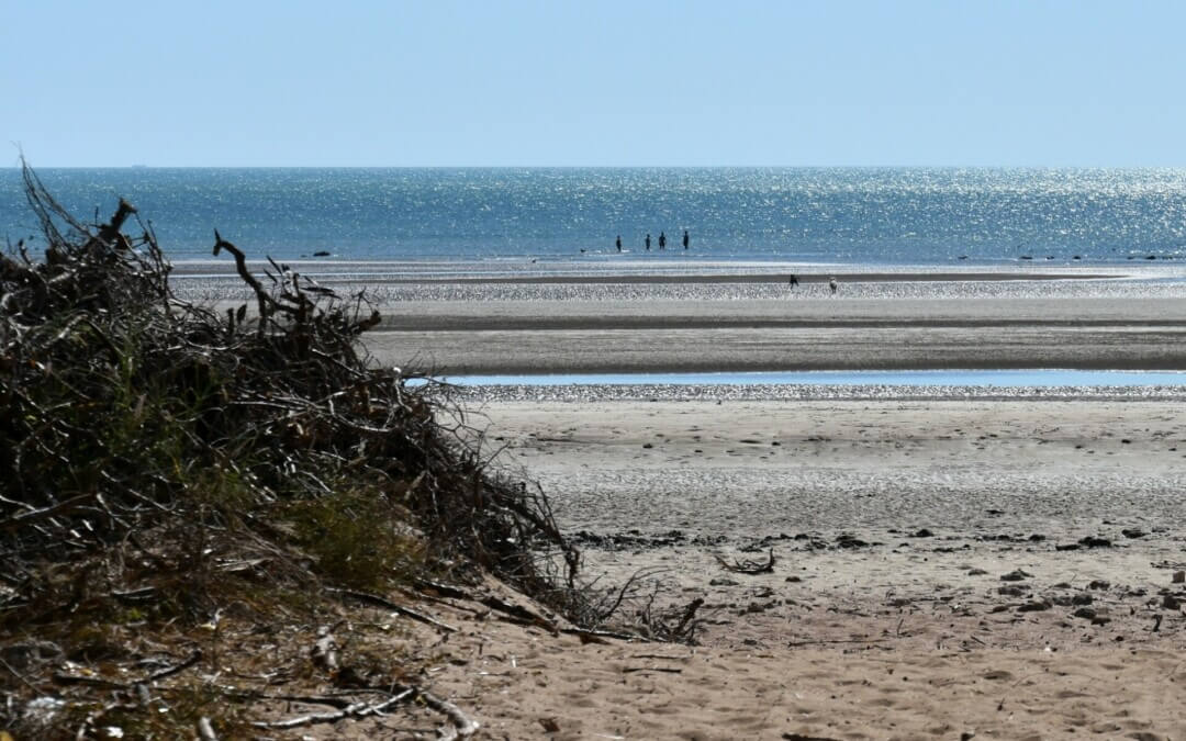 Human remains found near Lee Point Beach identified: Police