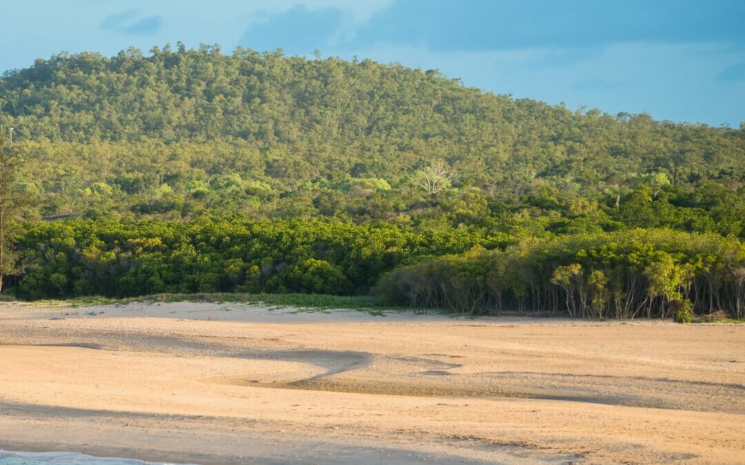 Man dead after buggy crash near Nhulunbuy