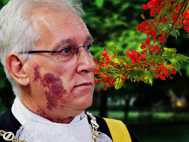Kon Vatskalis-Royal Ponciana Tree-4.3