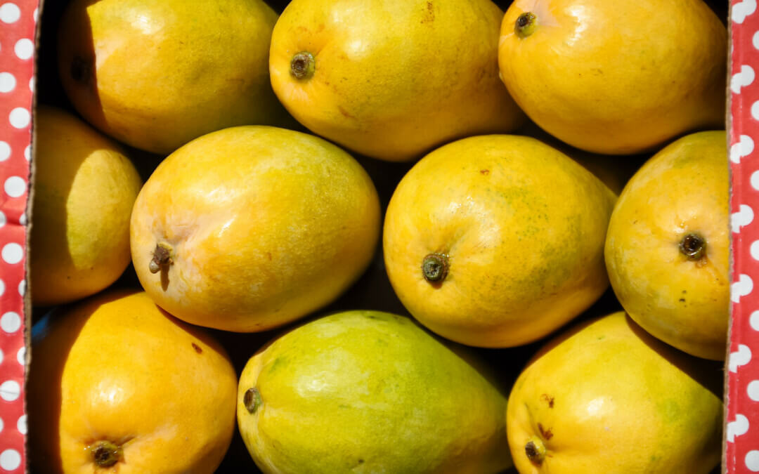 Mangoes to be flown to Hong Kong, South Korea, and Dubai from the NT