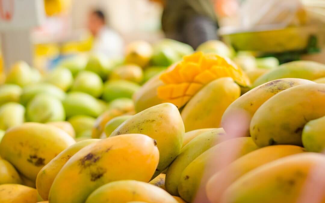 ‘Get yourself a mango daiquiri tonight and support the little blokes:’ Farmers boss on mango glut
