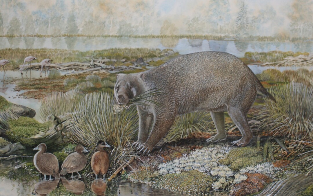 Paleontologists discover odd wombat and chomping possum in NT after 25 million years