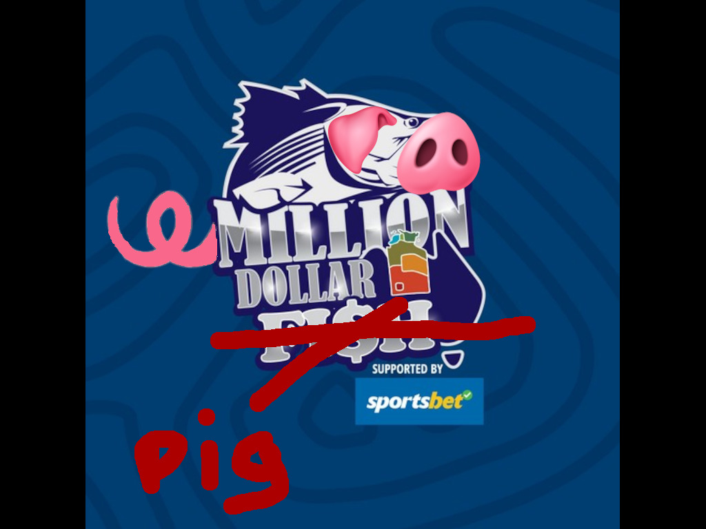 Million dollar pig