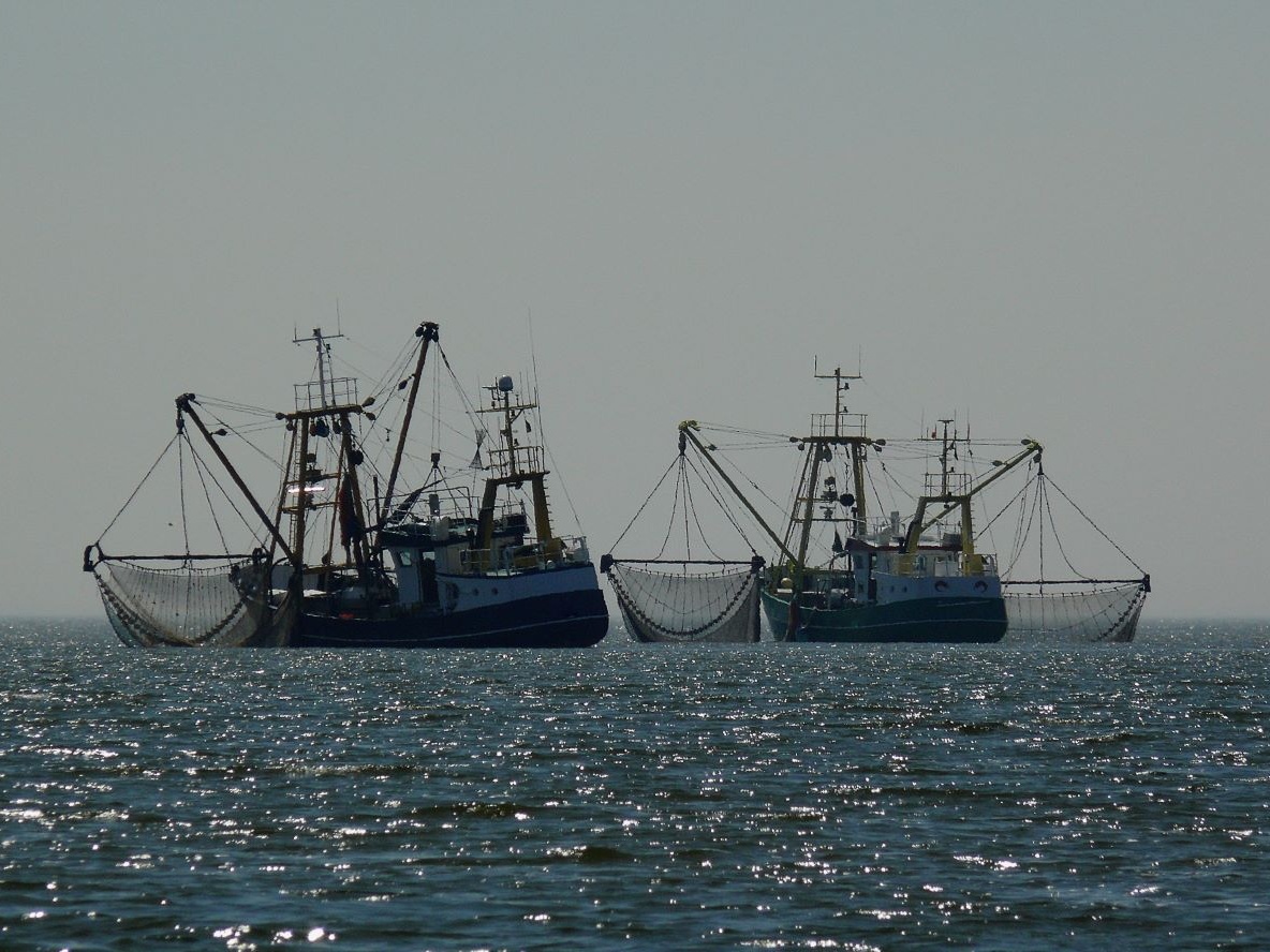 boat pic Cropped